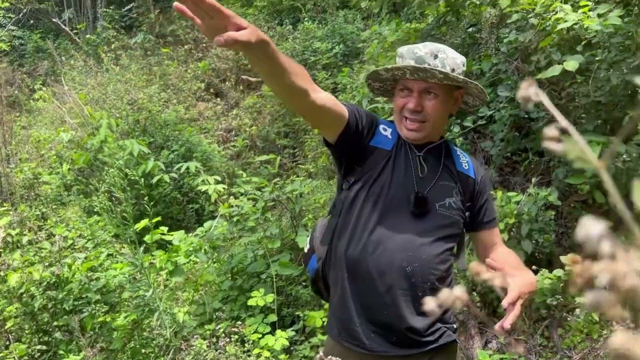 NOS ENCONTRARON EN UN TATU Y FUI HERIDO DE MI PIERNA POR BIRI BELLO SUR DEL CERRO DE Guazapa