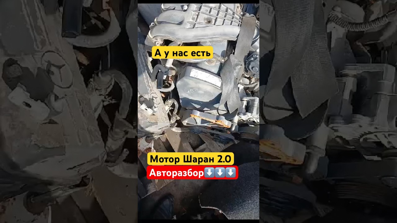 #shorts #авторазбор #volkswagen #бузапчасти #sharan +77783315477 В наличи запчасти на Шаран