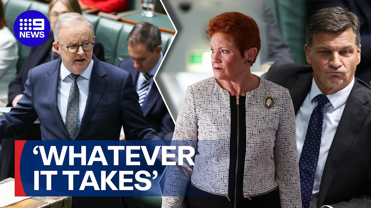 Opposition Leader not ruling out team-up with Pauline Hanson to topple Labor | 9 News Australia