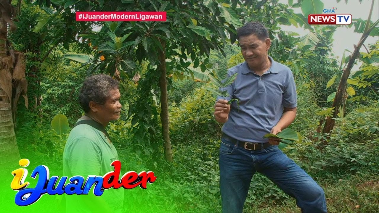 iJuander: Tradisyunal na panliligaw ng mga katutubong Dumagat, alamin!