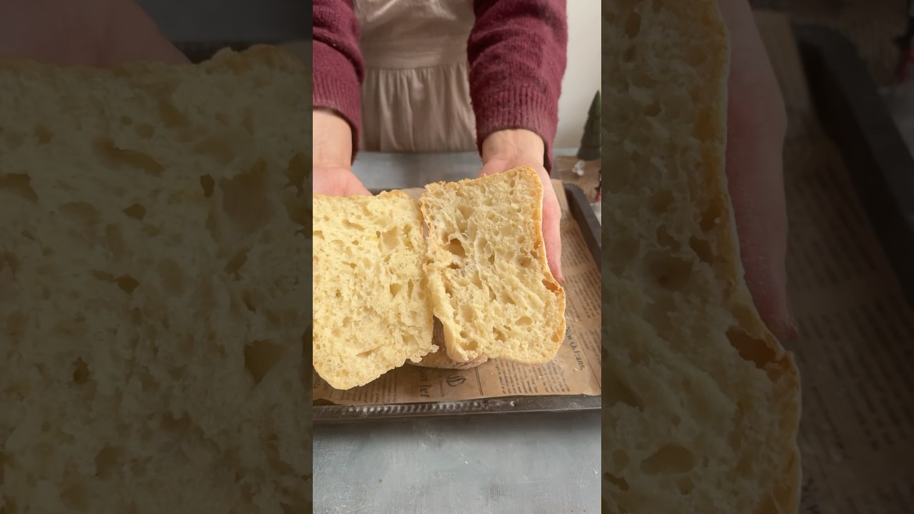 No Knead Same Day Ciabatta bread rolls