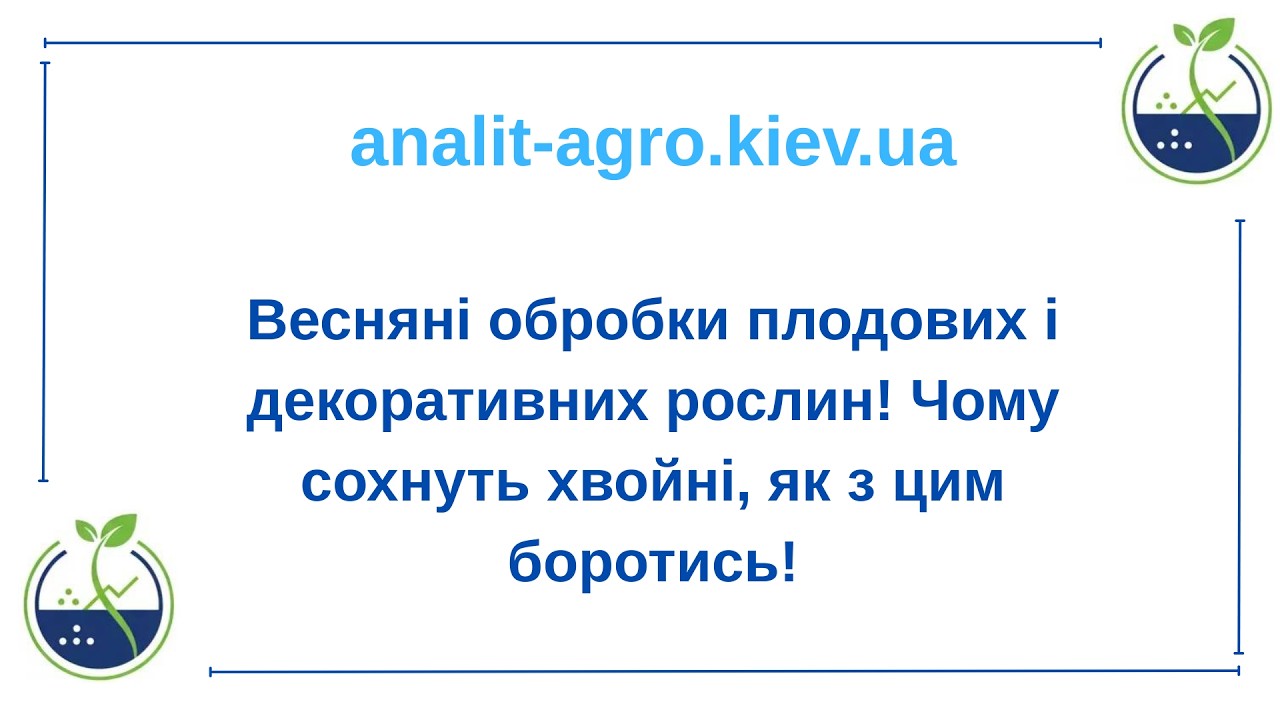 Весняні обробки плодових і декоративних рослин!Чому сохнуть хвойні,як з цим боротись!