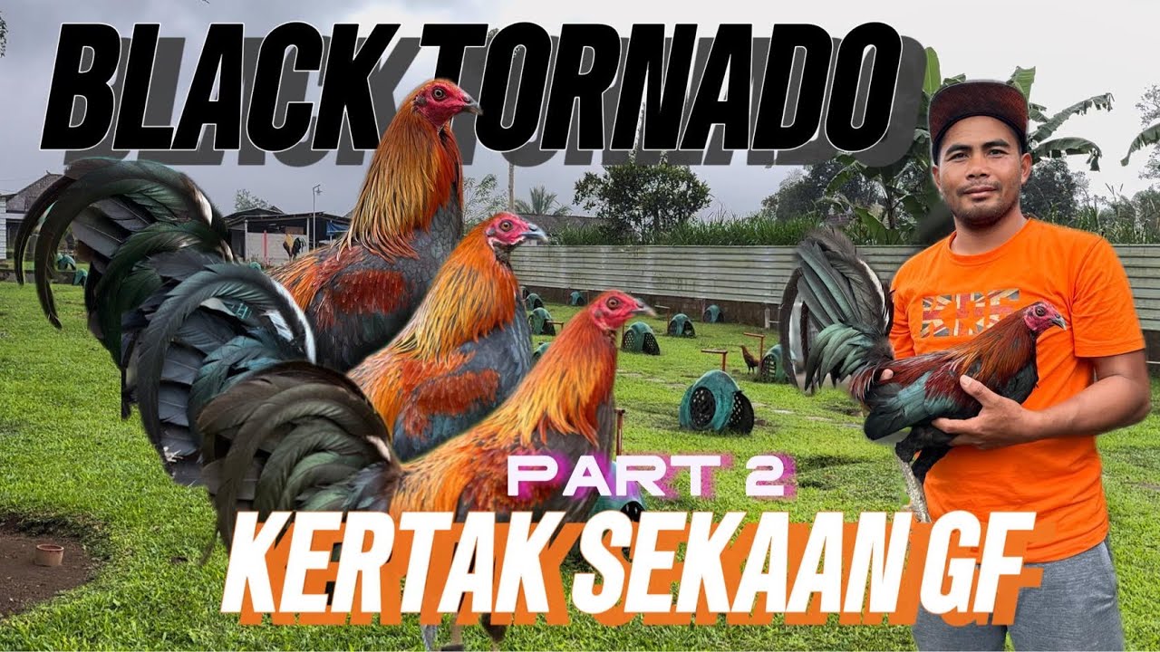 Kertak Sekaan GF part2