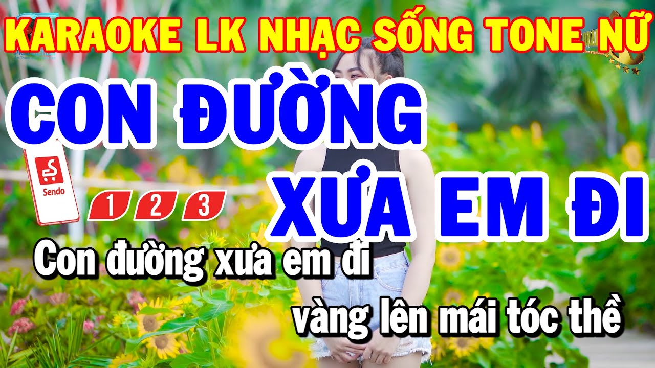 Karaoke Nhạc Sống Liên Khúc Trữ Tình Tone Nữ | Con Đường Xưa Em Đi - Căn Nhà Màu Tím | Thanh Hải