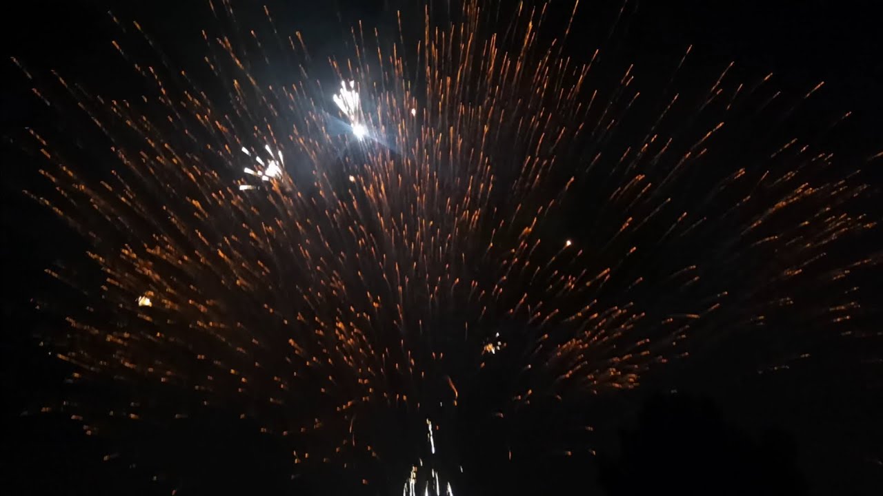 «Nit de l’Albà»: Palmera de la Virgen, Elche, 13 de agosto 2023 horizontal 4K version #fiestaselche