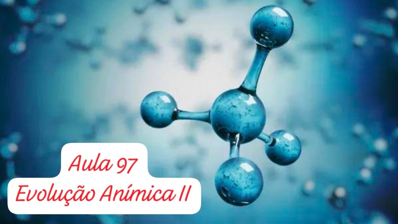 Aula 97 - Prof. Edson: Evolução 🧬 Anímica 