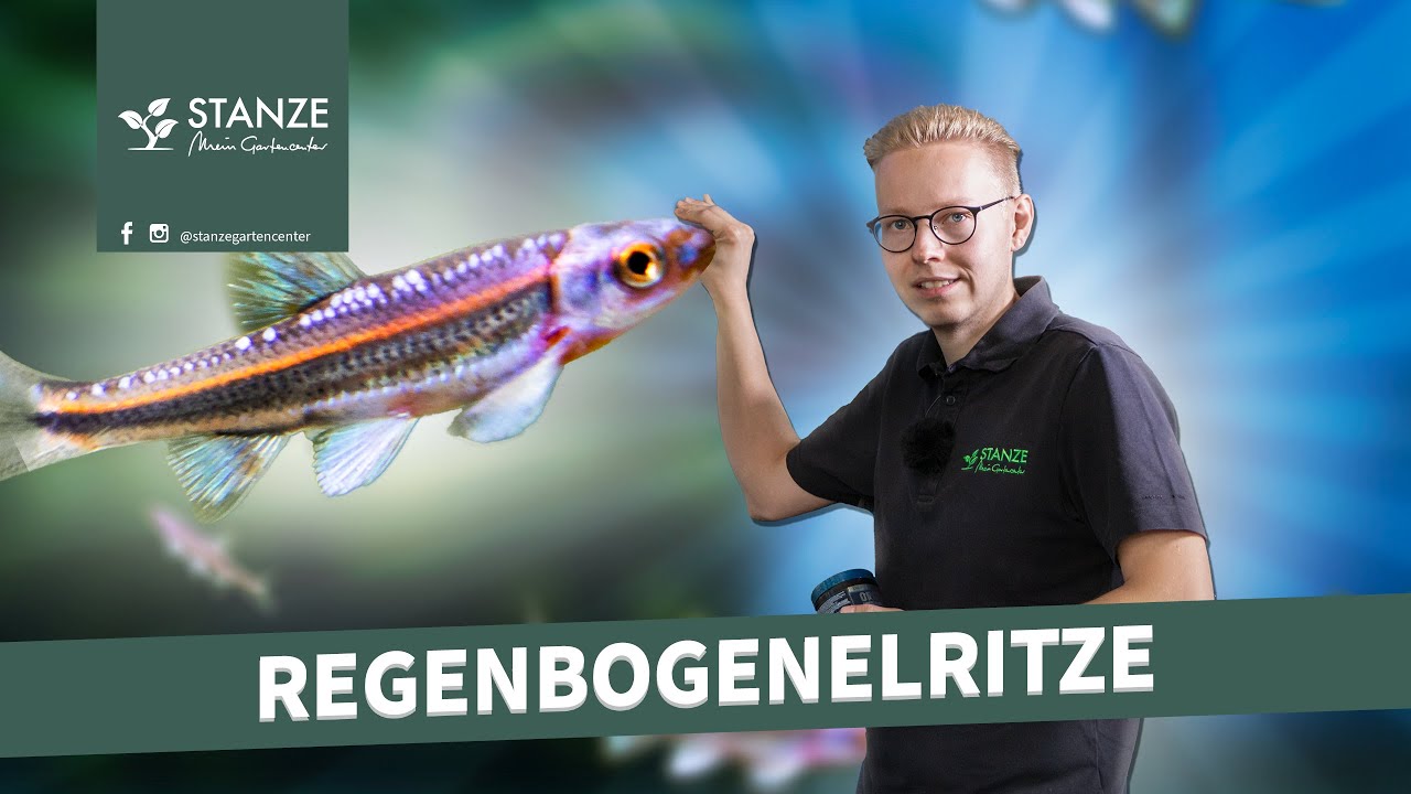 Die Regenbögen für deinen Gartenteich!