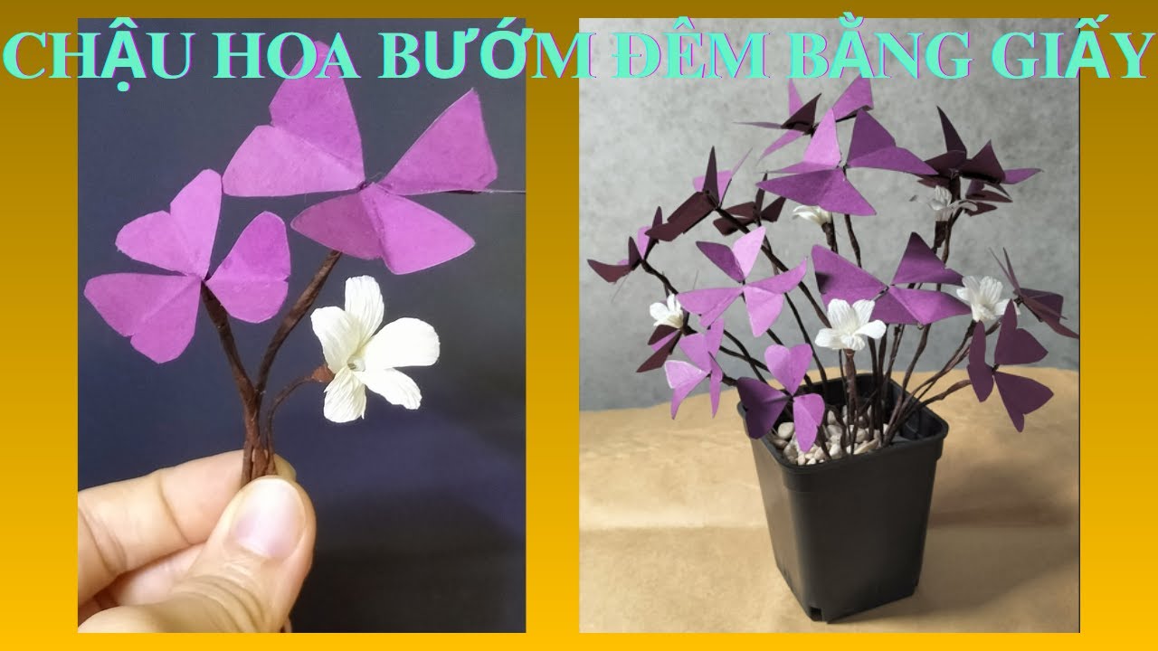 CÁCH LÀM HOA BƯỚM ĐÊM OXALIS BẰNG GIẤY HANDMADE #handmade