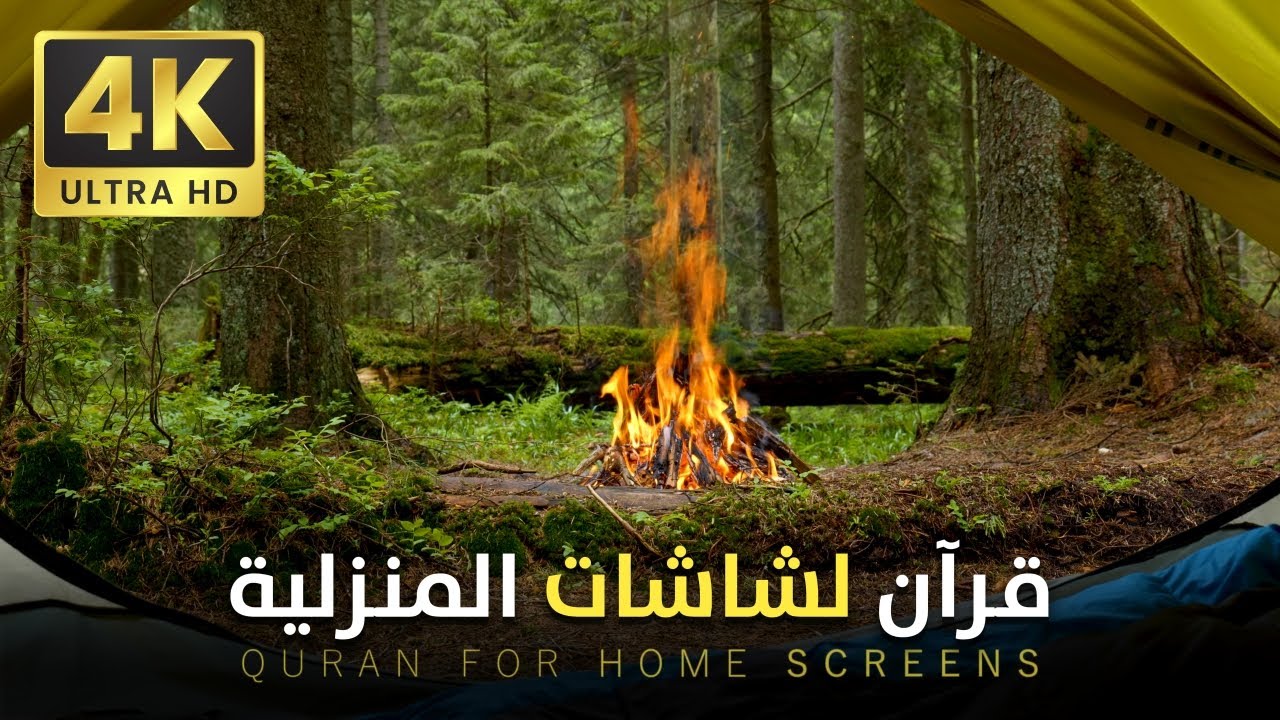 أفضل تلاوة قرآن كريم 4K UHD | تجربة فريدة من نوعها للشاشات المنزلية