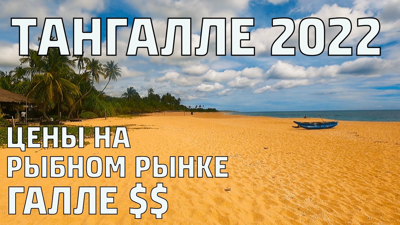 Пляж ТАНГАЛЛЕ ШРИ-ЛАНКА 2022. Обзор ЦЕН на рыбном рынке в ГАЛЛЕ. #шриланка