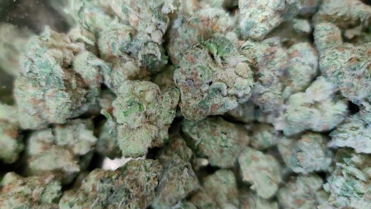 Strain Alert : Kiwi Kandy