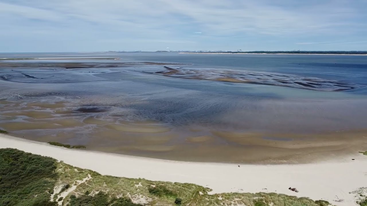 Stellendam Niederlande Hundestrand .(Holland)