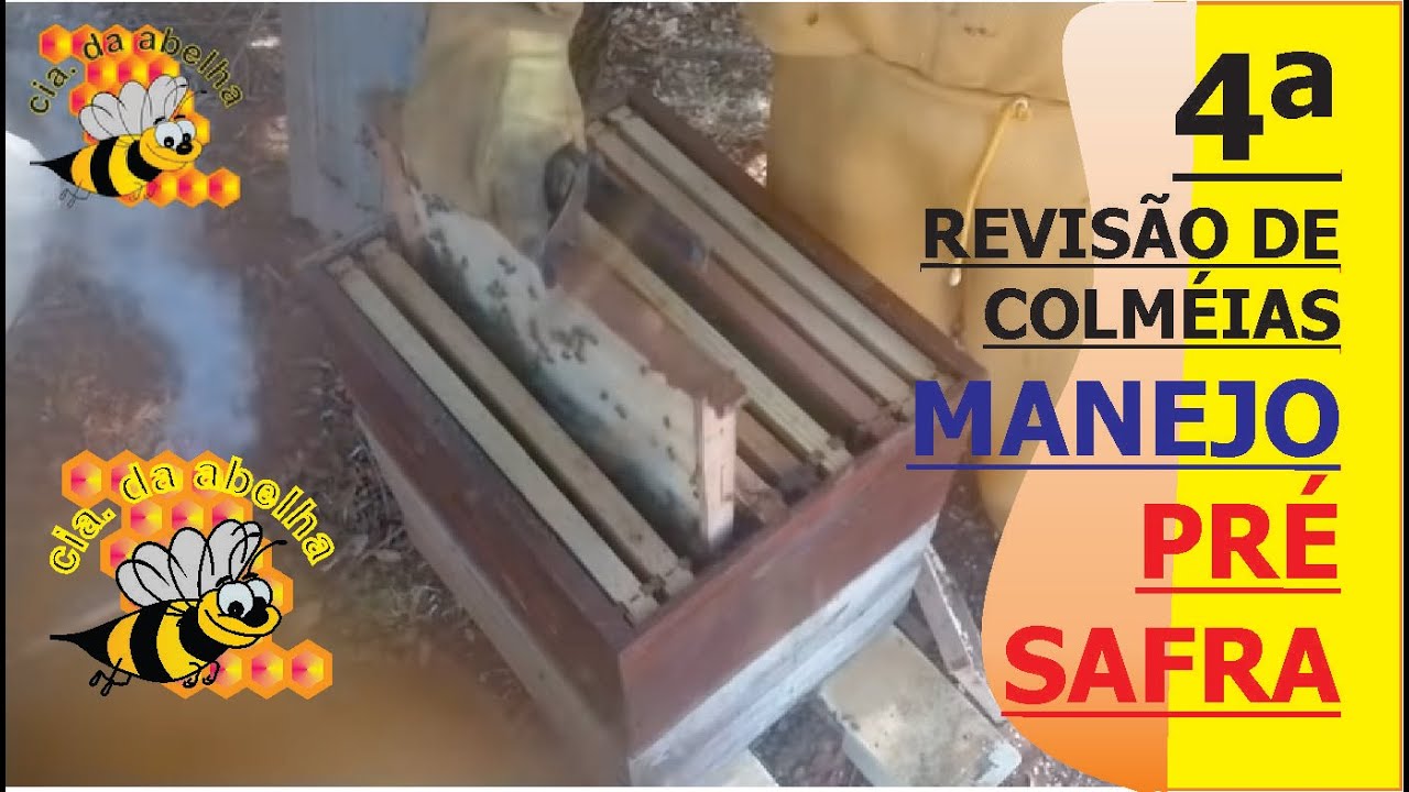 4 REVISÃO DO MANEJO PRÉ-SAFRA DO MEL: ALIMENTAÇÃO/NÚCLEO PARA NINHO/ COLOCAÇÃO DE SOBRE NINHO.
