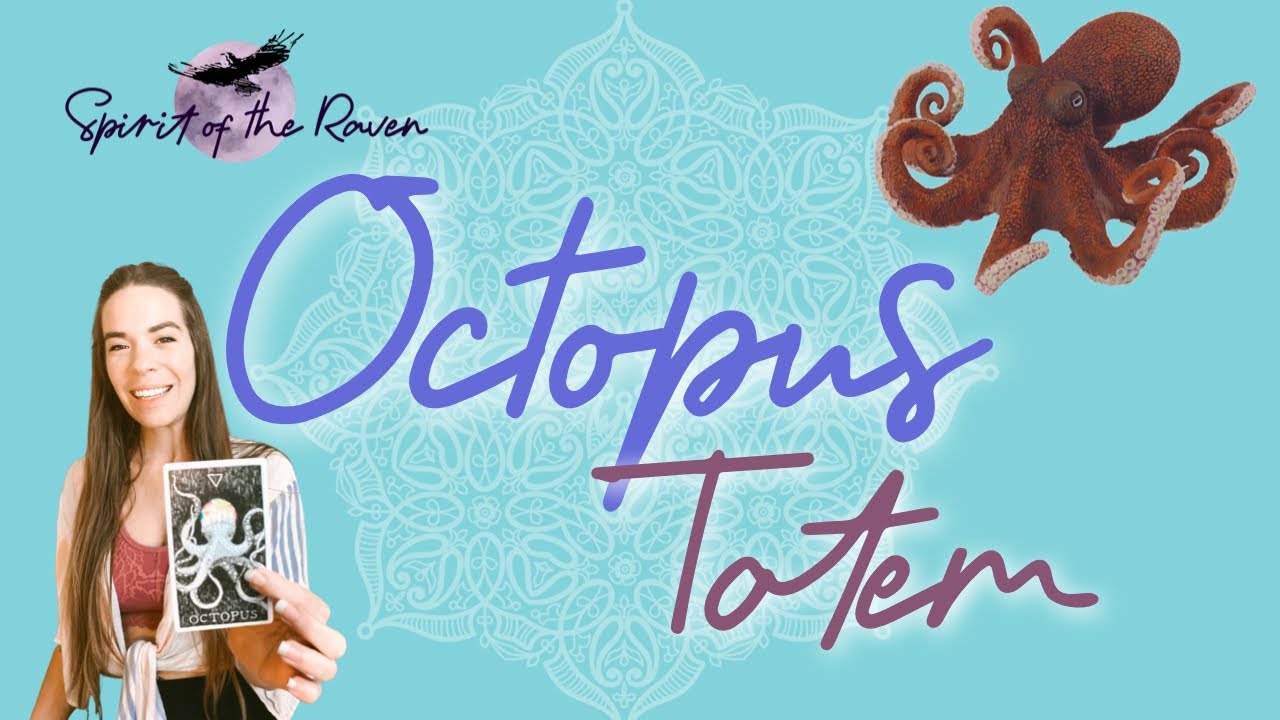 The meaning of seeing Octopus | Octopus Totem | Spirit Animal Meaning