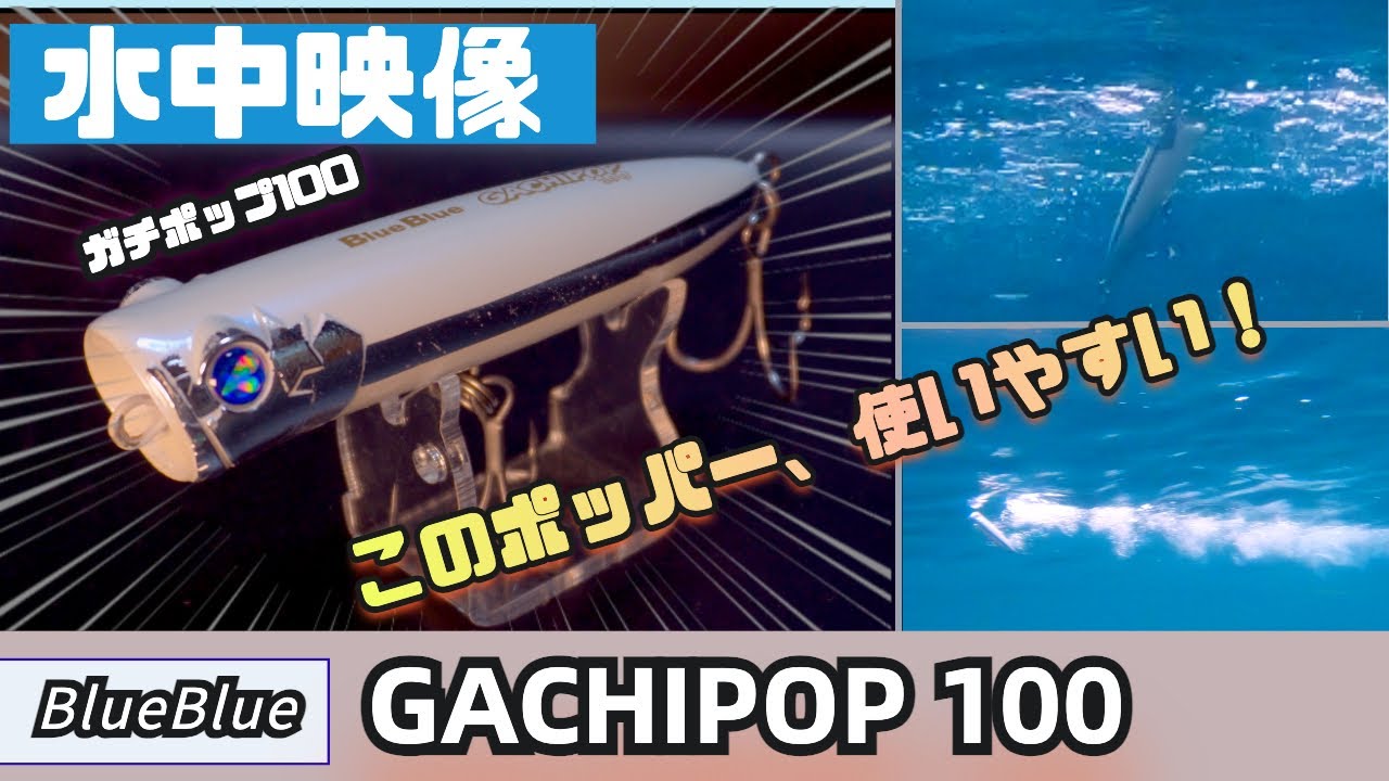 【水中映像】ガチポップ100入手しましたか？シーズンインまでにアクションをチェック！【ブルーブルー】