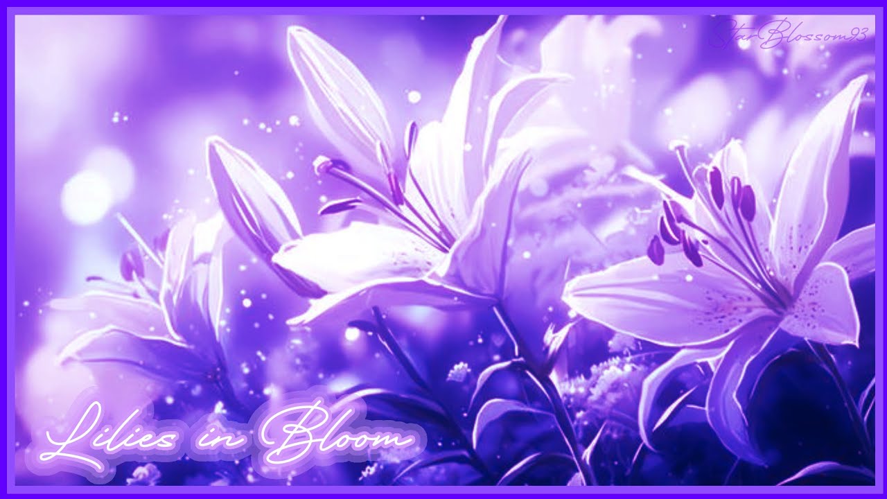 Lilies in Bloom