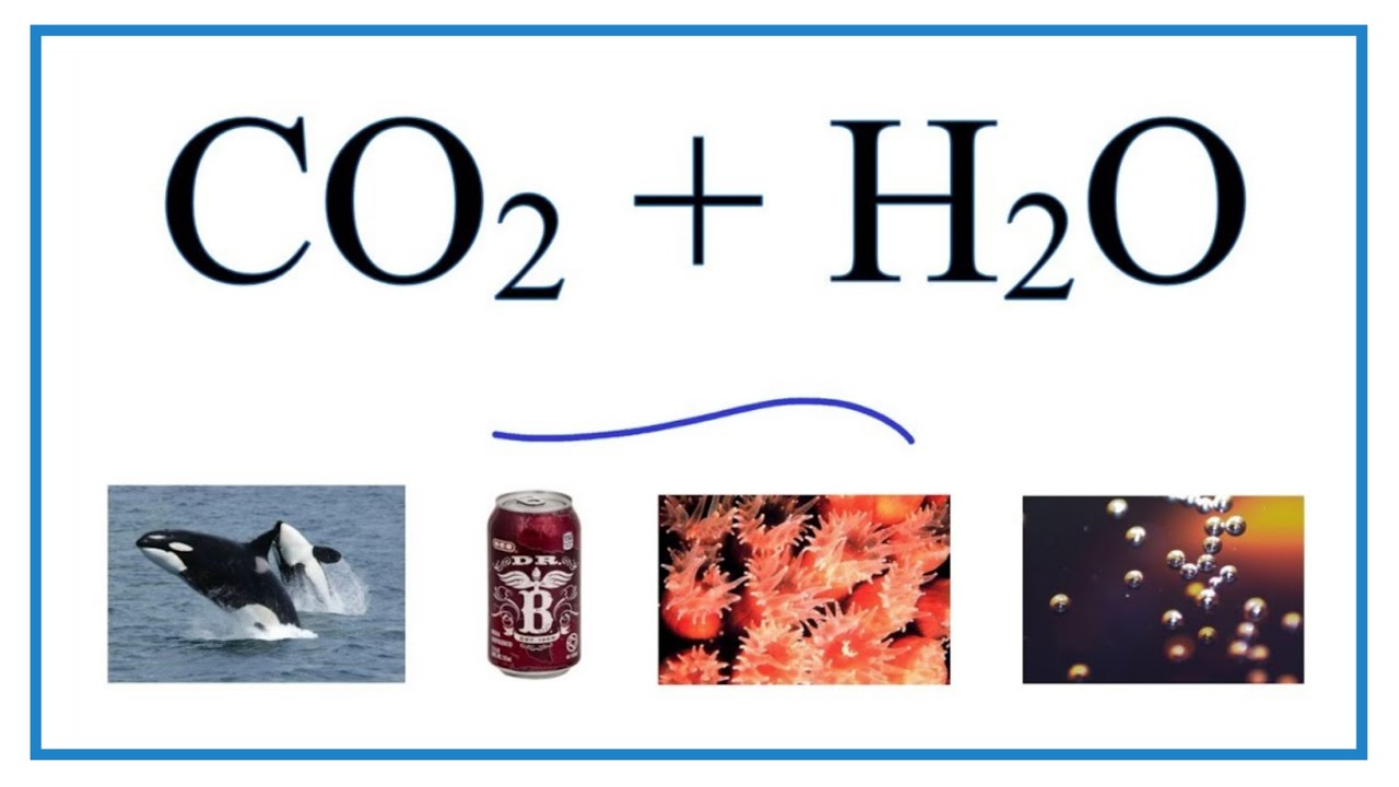 CO2 + H2O  (Carbon dioxide + Water)