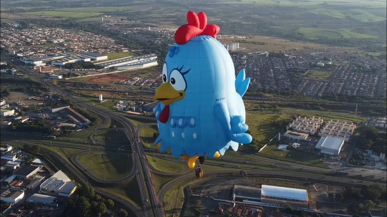 balão galinha pintadinha