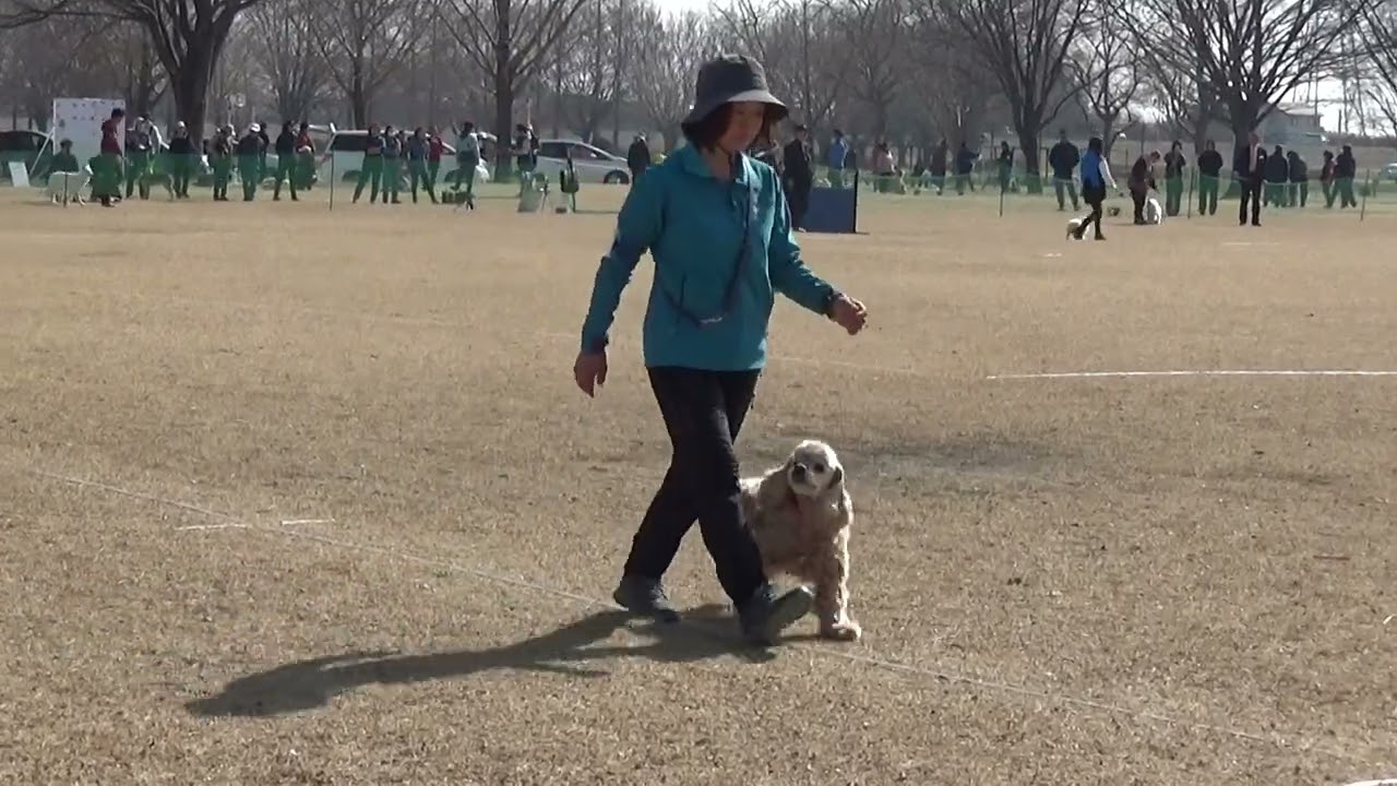 2026.2.15　FCI東日本インターナショナルトライアル　ウィズ