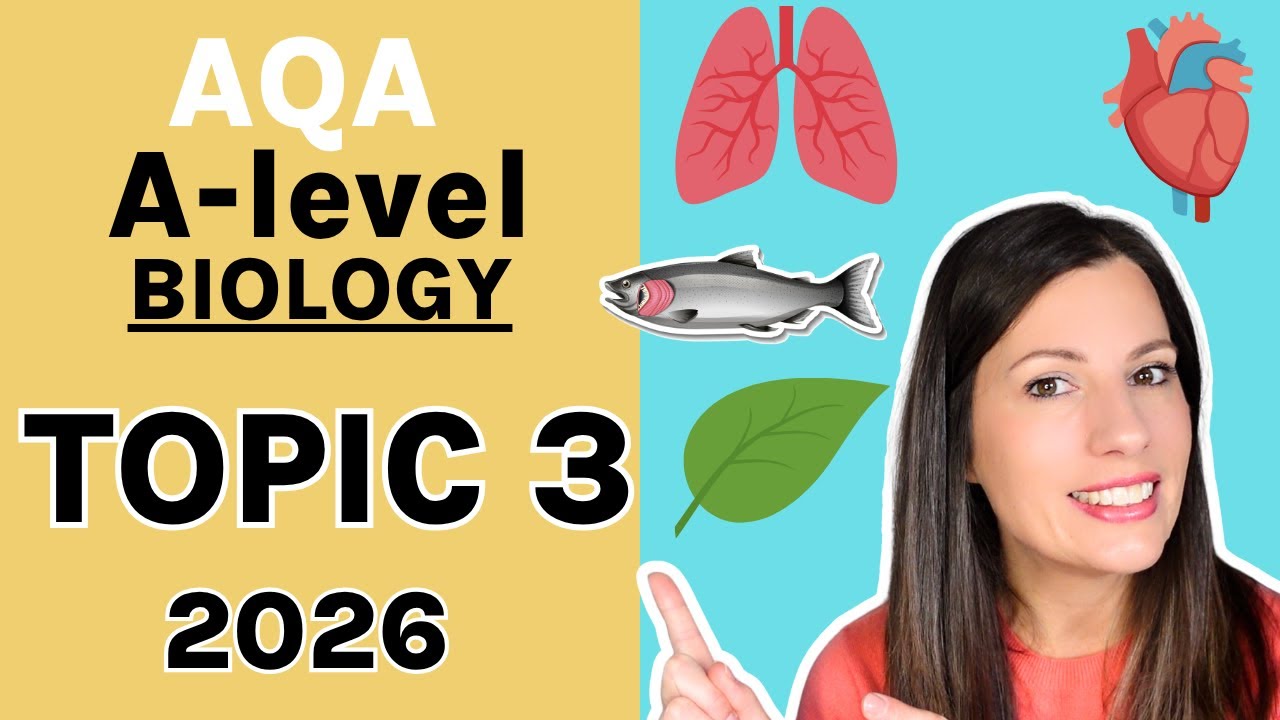 TOPIC 3 AQA A-level Biology - Learn the entire topic. Gas Exchange, Digestion and Mass Transport