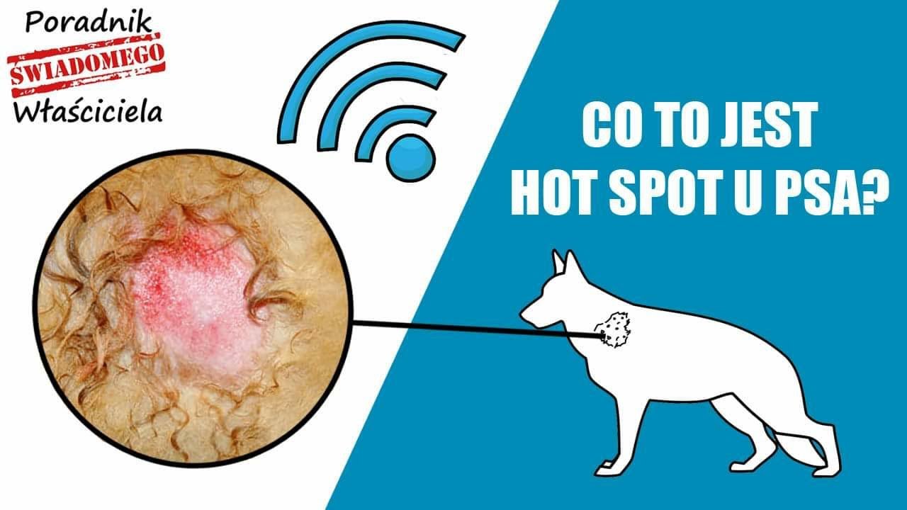 Hot Spot