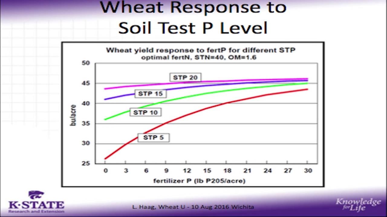 Wheat U 2016 High Plains Journal Fertility Management In Wheat Production Speaker Lucas Haag