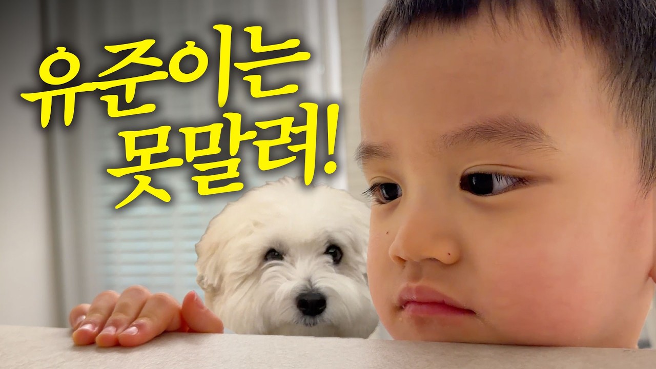 [VLOG] 이번엔 부대찌개다 (진짜 미쳤음)