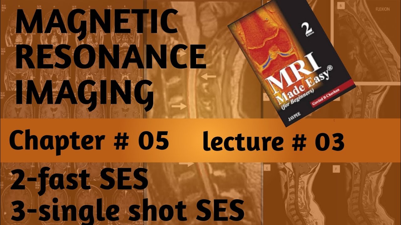 #fast spin echo sequence//turbo factor//single shot spin echo sequence//MRI//Radiology