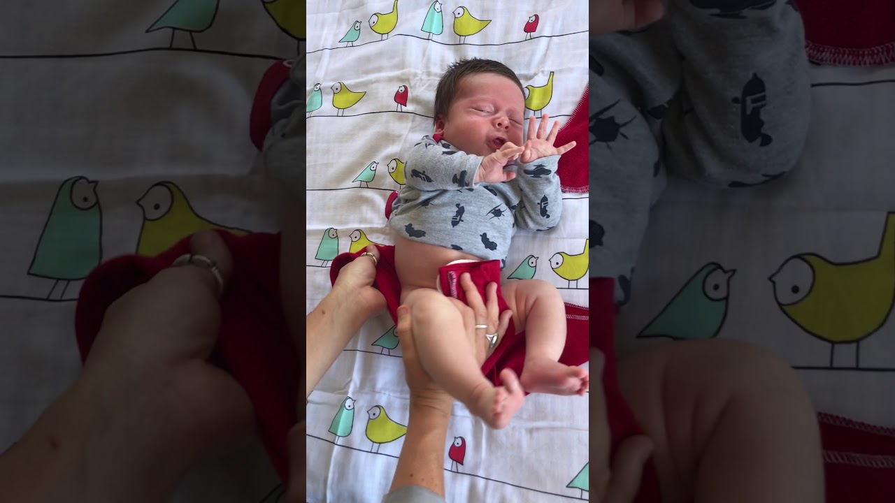 How to put on a newborn origami folded Pokkelokkie hemp flat
