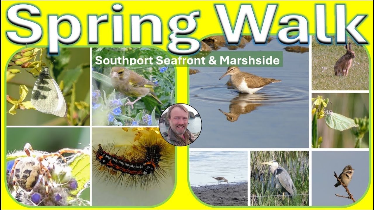 Spring Walk: Southport Seafront & Marshside