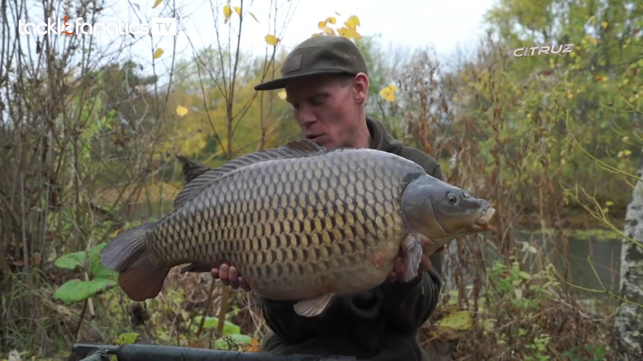 Tackle Fanatics TV - Nash Citruz Bait Range
