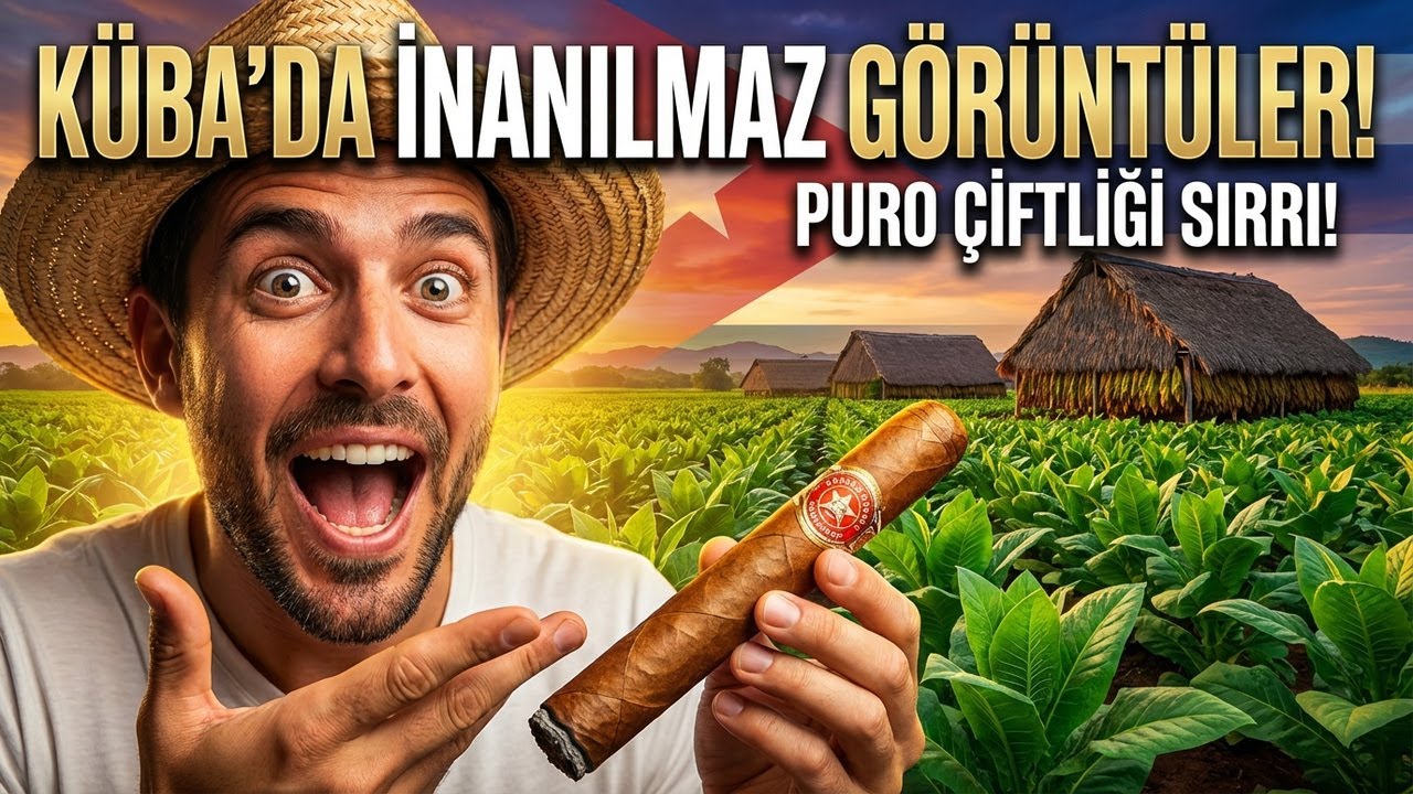 Küba Gezisinde Puro Çiftliğinden Neler Gördük?