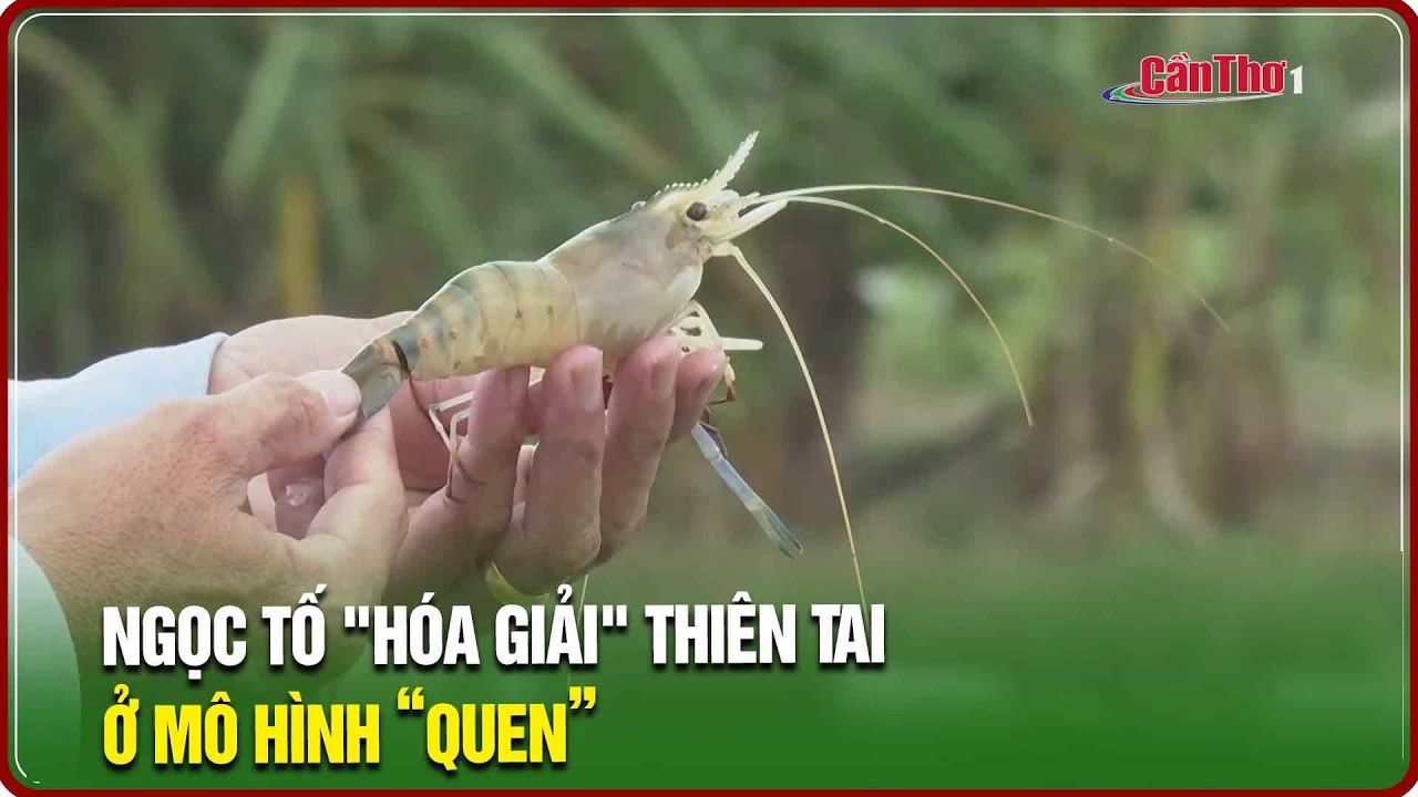 Ngọc Tố 