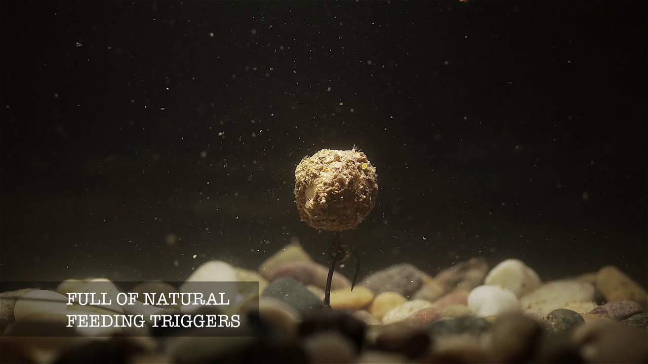 Monster Baits New coated Hookbait range