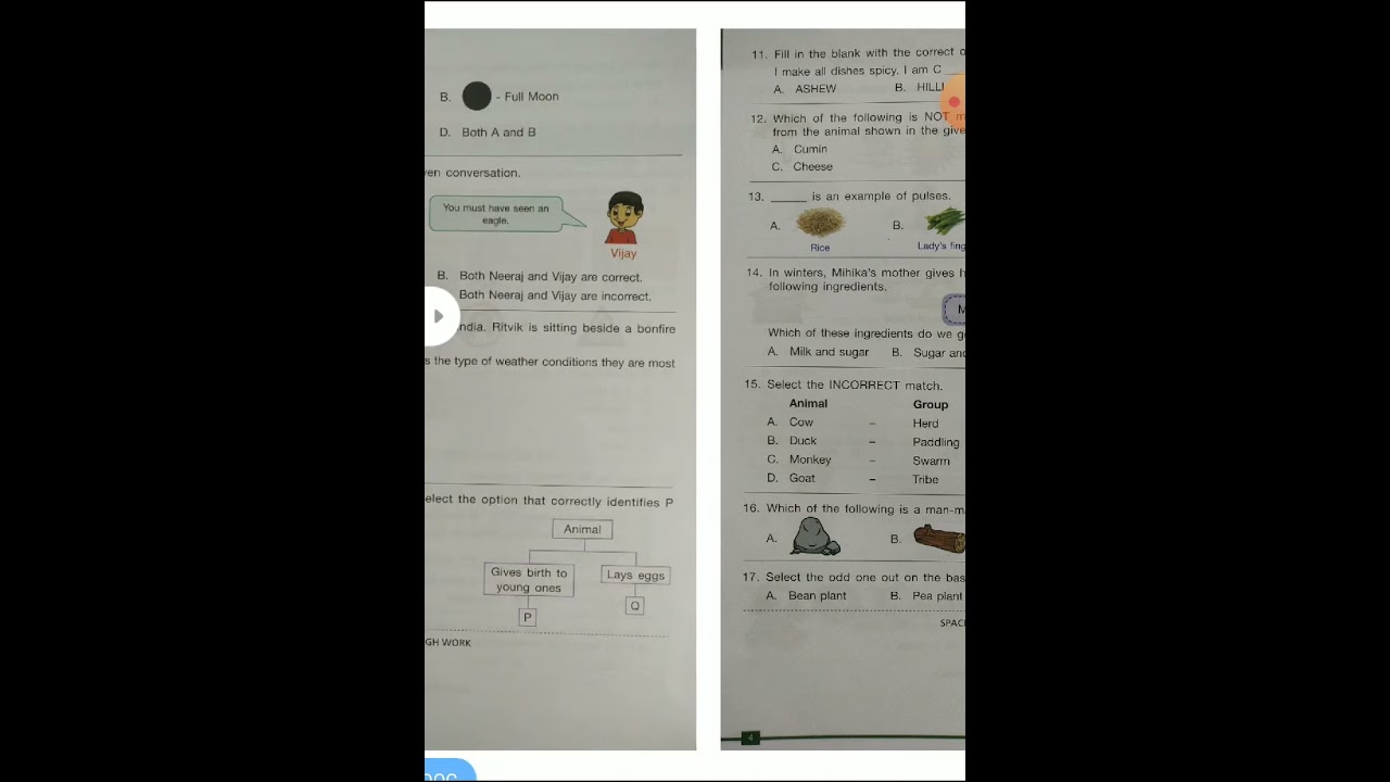 NSO Class 1 Question Paper (5-12-2023) | Science Olympiad Question Paper Class 1 | NSO Class 1  #sof