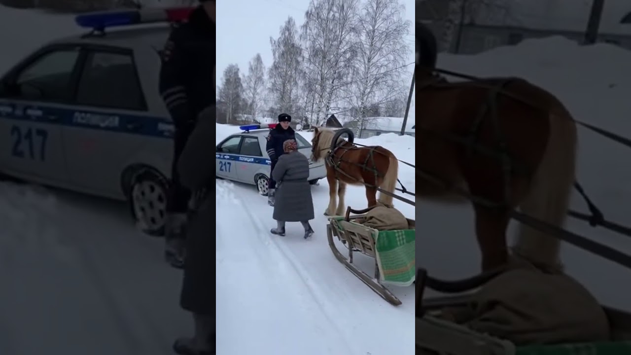 Бабушка на санях спасла полицейского из сугроба &mdash; только в России!