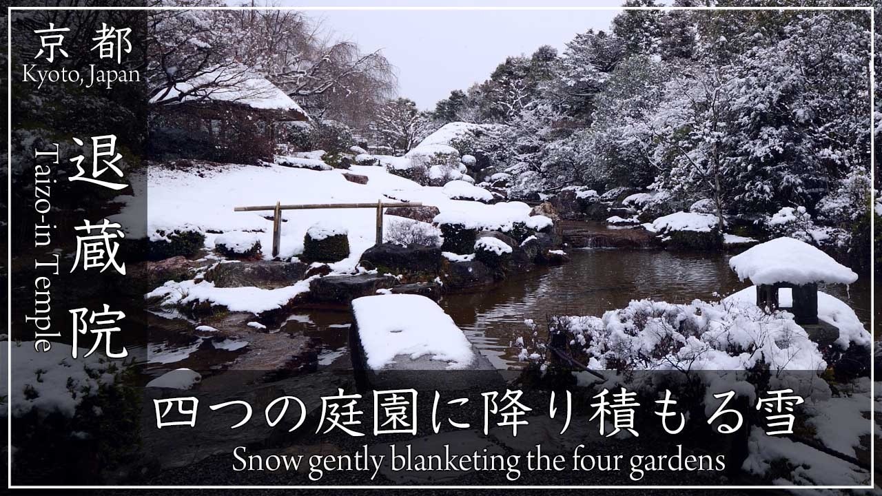 冬の京都❄️ 退蔵院 〜妙心寺の塔頭寺院、狩野元信による枯山水、中根金作による池泉回遊庭園の雪景色をご覧ください。[No.651]