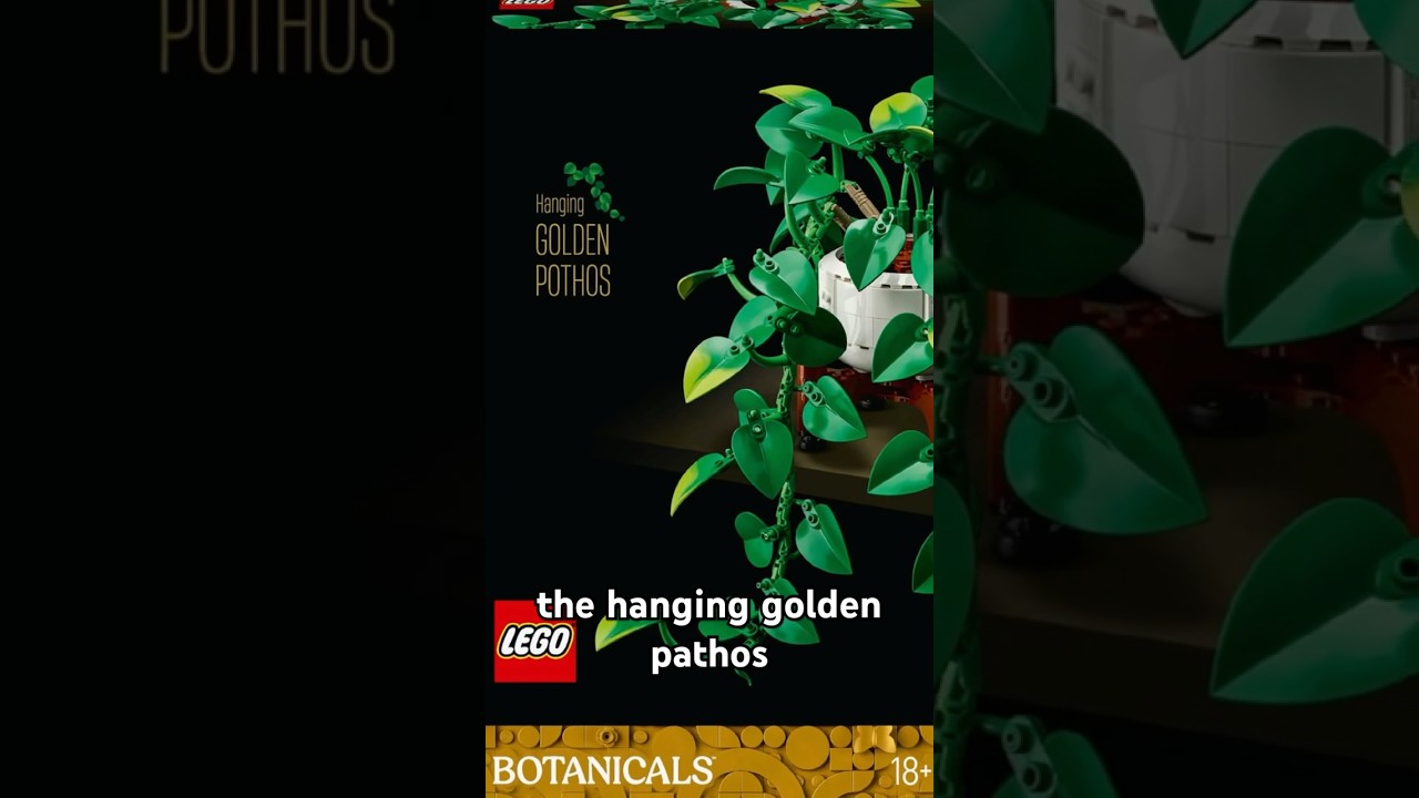 Утечка информации о наборе LEGO Botanicals Hanging Golden Pathos #lego #plants