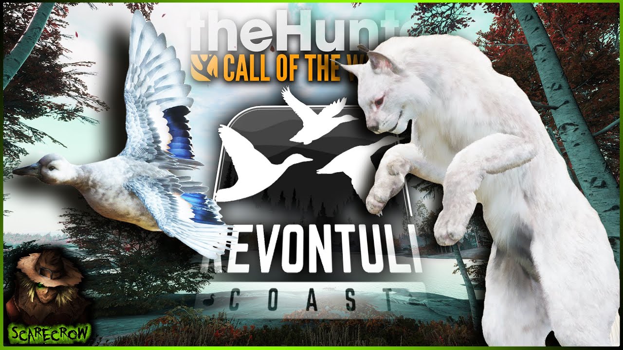IM SPEECHLESS! Albino Lynx & Leucistic Eurasian Teal On Revontuli Coast! Call of the wild