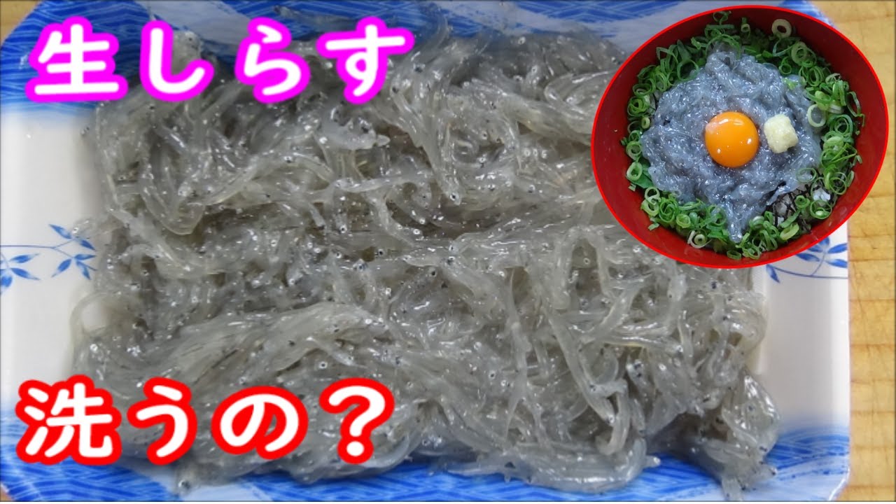 スーパーの生シラスの洗い方を色々検証、魚屋目線のオススメの洗い方とメリットデメリットを解説。生シラス丼の作り方まで＃生シラス丼＃生シラス洗い方＃生シラス