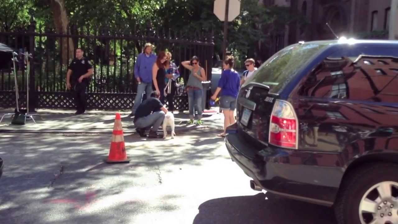 Matt Bomer petting a dog August 14, 2013