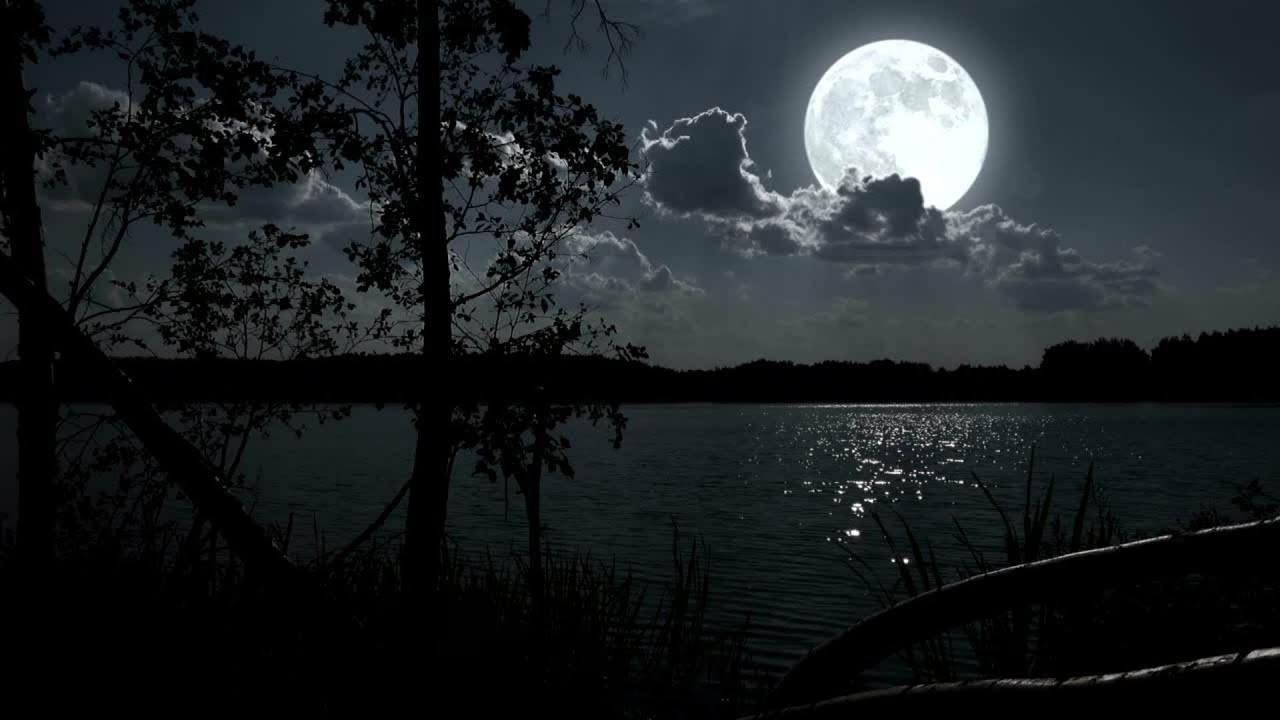 Unwind with a Moonlit Lake | Gentle Waves & Crickets | 4-Hour Night Relaxation & ASMR