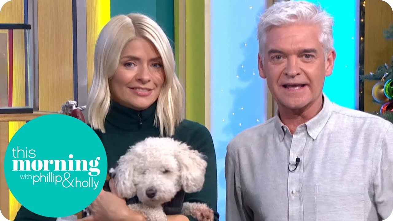The Best Christmas Gifts for Your Pet | This Morning