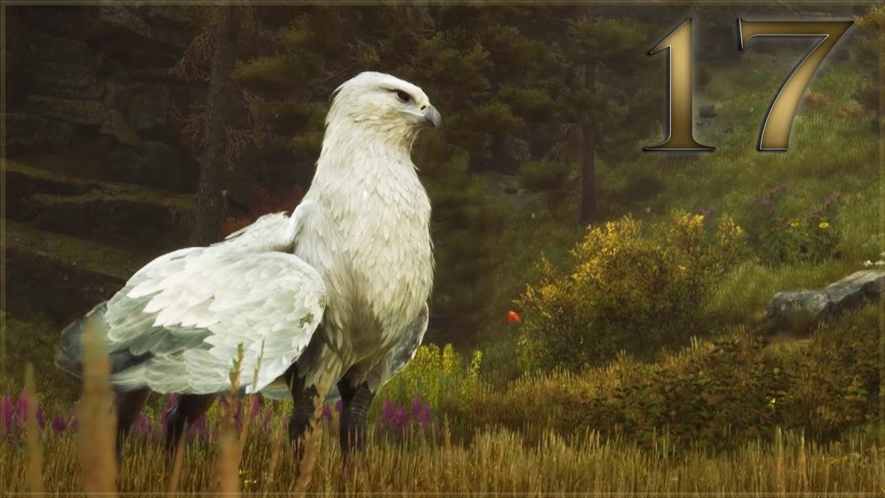 The Hippogriff Meeting! | Hogwarts Legacy [17] ✨