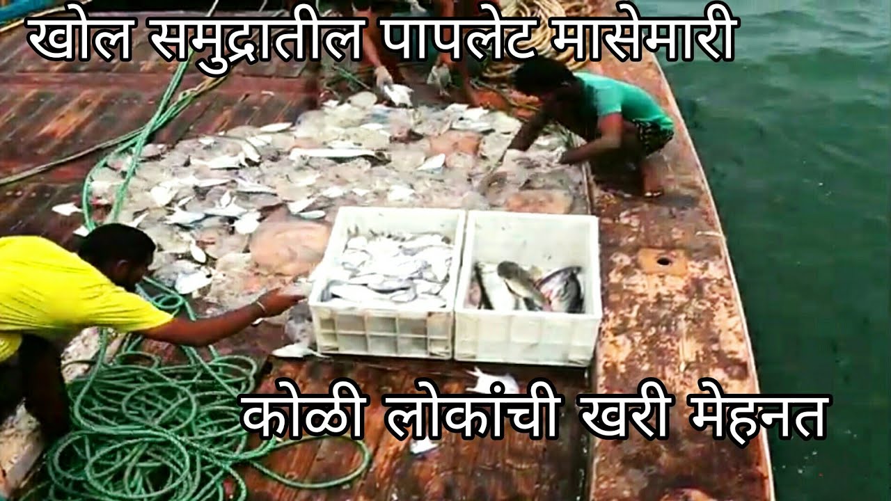 Pomfret Fishing In Deep Sea