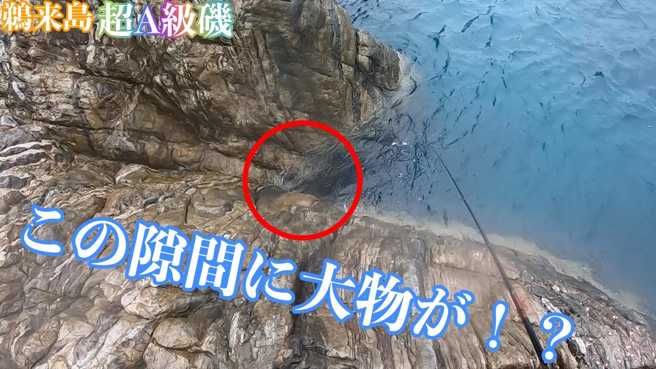 尾長グレ登場！磯際での 強烈ファイト！！磯釣り！