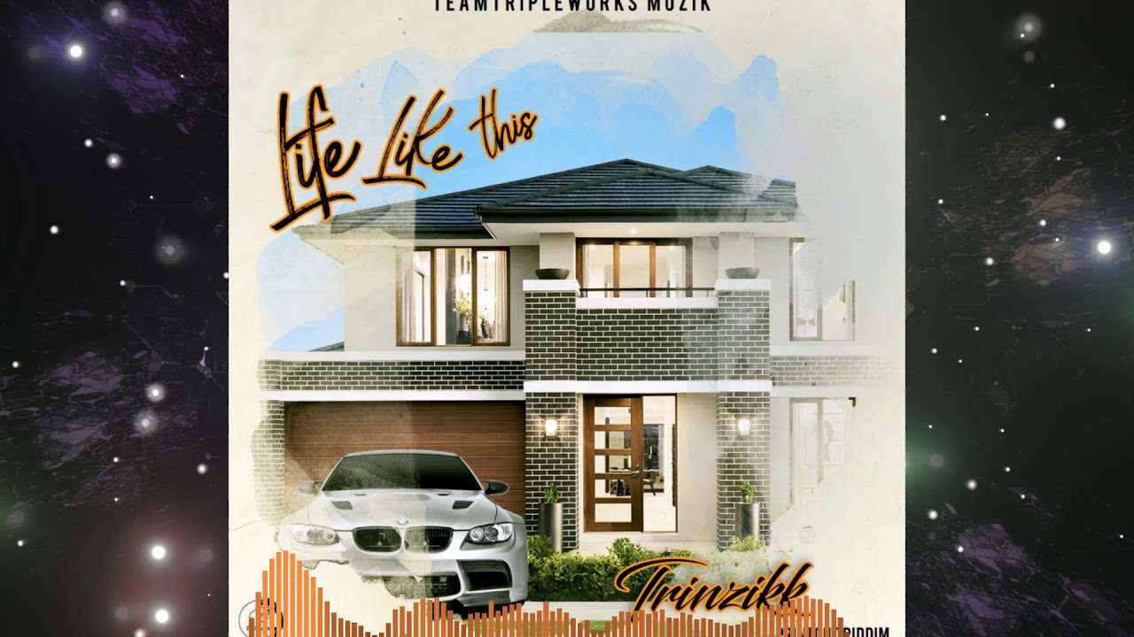 Trinzikk - Life like This (official audio)