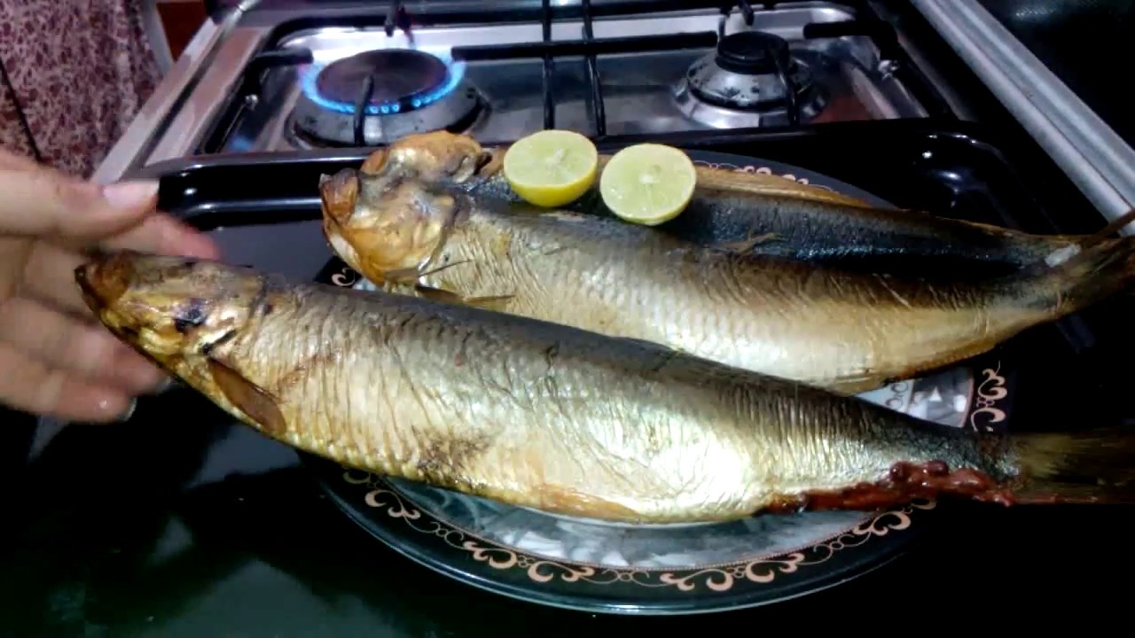 شوى" الرنجه" من غير دخان وطريقه تنظيفها وعمل" سلطه الطحينه "/مطبخ هبه مطر