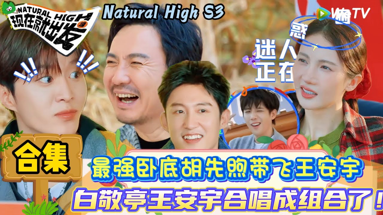 【现在就出发 第3季】EP3游戏特辑：白敬亭抽象跳舞被试探锐评爆笑名场面！| Natural High S3#现在就出发3#综艺#沈腾#范丞丞#王安宇#贾冰#黄景瑜#金晨