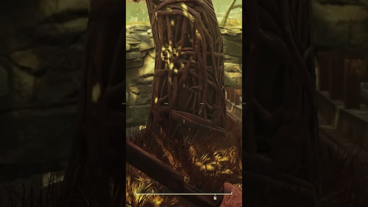 Mire Treasure Map #4 location  #fallout76 #fallout #gaming #treasuremap